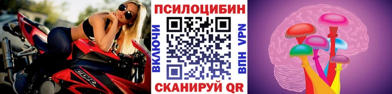Галлюциногенные грибы Cubensis  хочу   Озёрск 